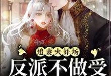 小說《追妻火葬場：反派不做受氣媳婦啦》在線章節閱讀-極品小說