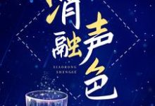 喬以笙陸闖小說在哪裡可以看-極品小說