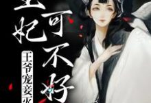 小說《王爺寵妾滅妻，王妃可不好惹》在線章節閱讀-極品小說