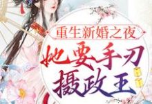 宋音書蕭御辭小說在哪裡可以看-極品小說