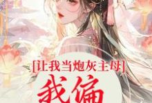 小說《讓我當炮灰主母，我偏另謀出路》章節閱讀-極品小說