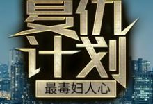 已完結小說《復仇計劃：最毒婦人心》在線章節閱讀-極品小說