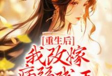 完結版《重生後，我改嫁病弱殘王扶他上位》免費閱讀-極品小說