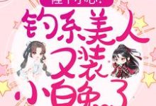 完結版《陛下小心！釣系美人又裝小白兔了》免費閱讀-極品小說