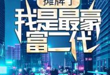 攤牌了，我是最豪富二代小說全文哪裡可以免費看？-極品小說