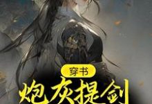 求穿書：炮灰提劍殺九州，震驚天道小說免費資源-極品小說