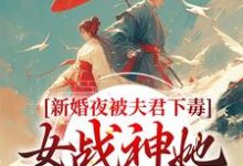 免費看新婚夜被夫君下毒，女戰神她不忍了小說的網站有哪些？-極品小說