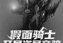 小說《假面騎士：開局盜號帝騎》章節閱讀-極品小說