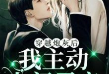 小說《穿越炮灰後，我主動上門尋親》在線章節閱讀-極品小說