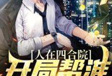 完結版《人在四合院，開局幫淮如賺點錢》在線免費閱讀-極品小說