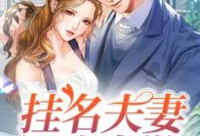 完結版《掛名夫妻假戲真做》章節閱讀-極品小說