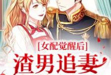 小說《女配覺醒後，渣男追妻火葬場了》章節閱讀-極品小說