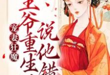 完結版《寵妻狂魔：王爺重生後說他錯了》章節閱讀-極品小說