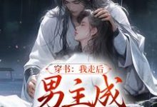 穿書：我走後，男主成黑蓮花了小說，穿書：我走後，男主成黑蓮花了在線閱讀-極品小說