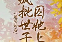 完結版《通房嬌妾，瘋批世子囚她上癮》免費閱讀-極品小說