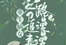 重生嫡女:王爺追妻路漫漫蘇妧劉曜小說大結局免費試讀-極品小說