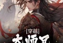 主人公叫韓楓的小說哪裡免費看-極品小說