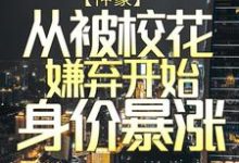 小說《神豪：從被校花嫌棄開始身價暴漲》在線章節閱讀-極品小說