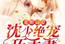 完結版《先婚後愛：沈少絕寵巧手妻》在線免費閱讀-極品小說