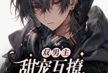 完結版《雙男主：甜寵互撩，雙向奔赴》在線免費閱讀-極品小說