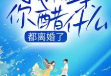 完結版《都離婚了，我相親你醋什麼》免費閱讀-極品小說