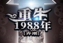 小說《重生1988年》章節免費閱讀-極品小說