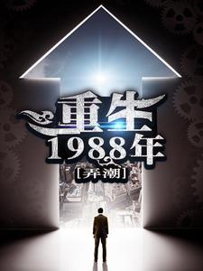 小說《重生1988年》章節免費閱讀