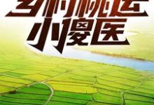 鄉村桃運小傻醫小說免費資源，鄉村桃運小傻醫在線閱讀-極品小說