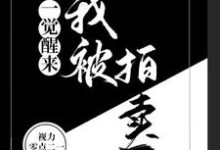 一覺醒來，我被拍賣了小說無彈窗閱讀的網站推薦-極品小說