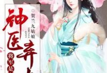 求神醫棄女，將軍是妻奴小說的全文免費閱讀鏈接-極品小說