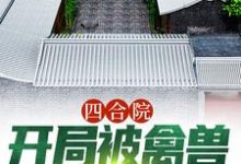 四合院：開局被禽獸們搬空家小說的免費電子版在哪裡可以下載或閱讀？-極品小說