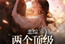 小說《戀綜：兩個頂級戀愛腦相遇後》在線章節閱讀-極品小說