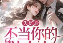 完結版《失憶後，不當你的陸太太》免費閱讀-極品小說