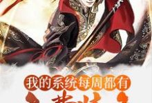 陳兵秀兒小說《玄幻：我的系統每週都有免費裝備》在線閱讀-極品小說