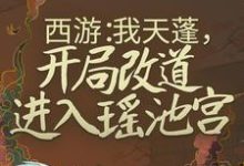 西遊：我天蓬，開局改道進入瑤池宮小說無彈窗閱讀的網站推薦-極品小說