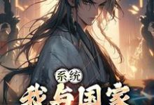 主人公叫趙風的小說系統：我與國家共享氣運在線閱讀章節-極品小說