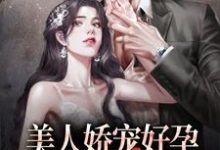 男女主人公夏綰晚小說美人嬌寵好孕，絕嗣大佬贏麻了章節免費閱讀-極品小說