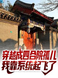 已完結小說《穿越成四合院孤兒，我靠系統起飛了》在線章節閱讀