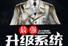 小說《最強升級系統》在線章節閱讀-極品小說