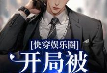 主人公叫沈嚴裴珩的小說哪裡免費看-極品小說