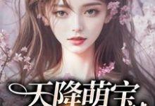 《天降萌寶，媽咪獨寵我》小說章節列表免費試讀，元寶陸婉令小說在線閱讀-極品小說