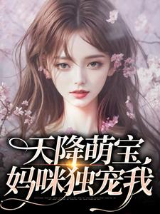 《天降萌寶，媽咪獨寵我》小說章節列表免費試讀，元寶陸婉令小說在線閱讀