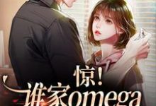 小說《驚！誰家omega這麼會釣人啊》在線章節閱讀-極品小說