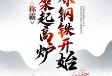 完結版《稱霸：從架起高爐冶煉鋼鐵開始》在線免費閱讀-極品小說