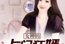 女神的上門狂婿（凌雲楊婉清）在線免費閱讀-極品小說