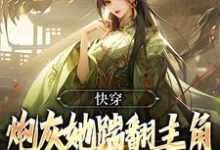 完結版《快穿：炮灰她踹翻主角自己修仙上位》免費閱讀-極品小說