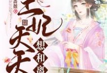 小說《王妃天天想和離》章節閱讀-極品小說