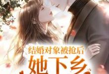 主角叫喬知意裴徵的小說在哪閱讀-極品小說