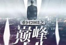 周凡孫洋洋小說叫什麼（重回2003之巔峰人生免費閱讀）-極品小說