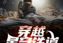 已完結小說《穿越星穹鐵道，他成了審判官》在線章節閱讀-極品小說